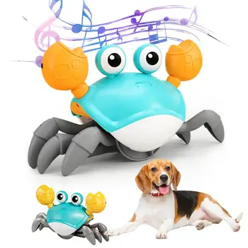 Lemmiklooma Elektrilised Krabi Mänguasi Kass Mängu Mänguasja Indekseerimise Krabi Mänguasi Lõbus Muusika Tuled Tulede Põgeneda Haridus-Multifunktsionaalne Lemmikloomad