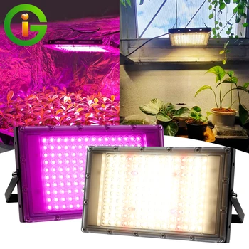 Täieliku Spektri LED Grow Light 50W 100W Jäljendada Päikesevalgust Füto Lamp Kasvuhoone Hüdropooniline Taimede Kasvu Valgustus