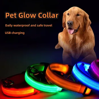 Lemmiklooma helendav krae, maskott koerad ja kassid, kasutada ohutult väljas reisi koerad öösel, LED valgus laadimine USB väljas