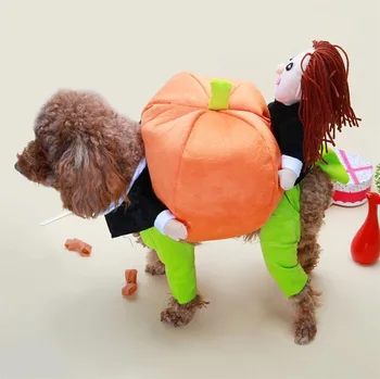 Halloween Pumpkin Naljakas Pet Riided Kass Pet Cosplay Kostüüm Armas Koer Vedaja Kõrvits Kostüümid Üritusi Riided Sobivad